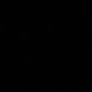 Meet your Posher, Sandi